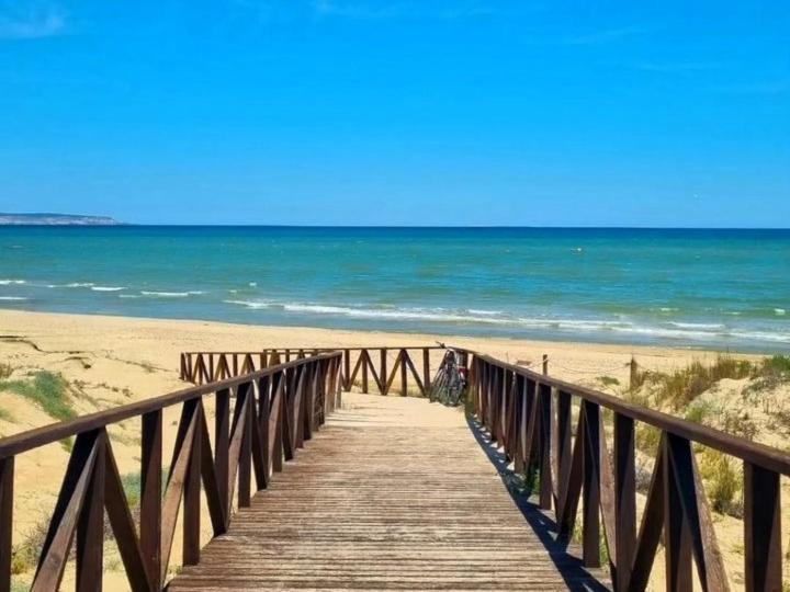 Pulau Playa Leilighet Guardamar del Segura Eksteriør bilde